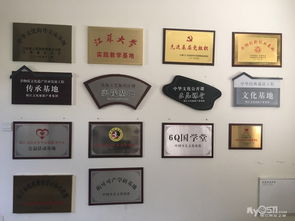 专业广告图文设计制作与网页设计 打造品牌视觉影响力